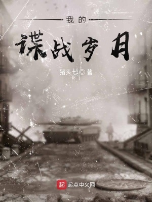 我的谍战岁月猪头七著