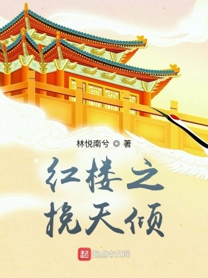 红楼之挽天倾north加料版