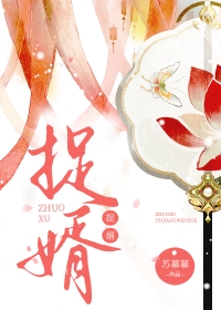 捉婿免费阅读