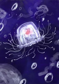 小水母的海底历险记 作者·落瀑